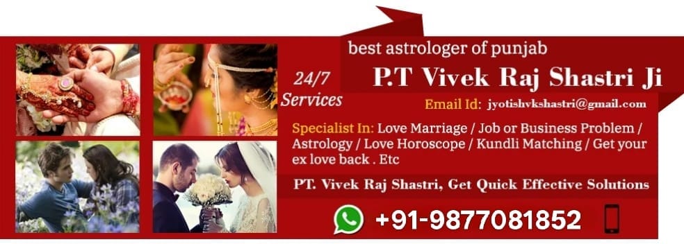 Astrologer vivek raj shastri